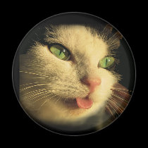 Cat Tongue magnets
