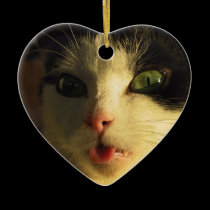 Cat Tongue ornaments