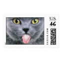 Cat_tongue postage