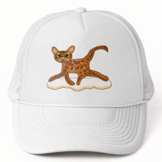 Cat-Toon hat