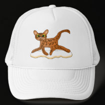 Cat-Toon hats