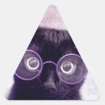 Cat Triangle Stickers