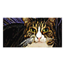 Cat under a sheet photo greeting card
