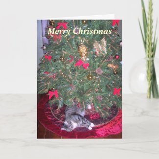 Cat Underneath The Tree Christmas Card card