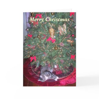 Cat Underneath The Tree Christmas Card card