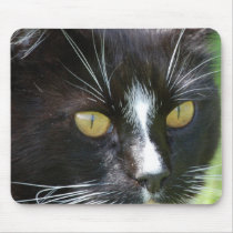 Cat Up Close Mousepad
