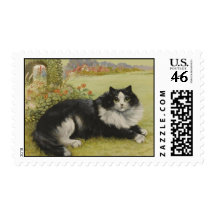 Cat Vintage Postage