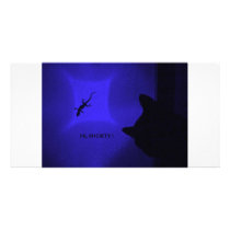 CAT VS GECKO MULTICOLORS PHOTO GREETING CARD