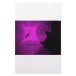 CAT VS GECKO MULTICOLORS STATIONERY DESIGN