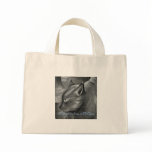 Cat Walk, Patricia Anne McCarty bags
