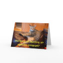 Cat - wanna exercise Birthday card