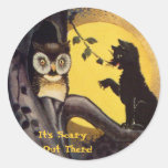 Cat Warning Owl Halloween Stickers