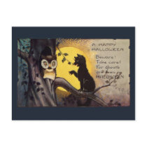 Cat Warning Owl Vintage  Halloween Postcard