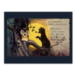 Cat Warning Owl Vintage Halloween Postcard