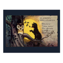 Cat Warning Owl Vintage  Halloween Postcard