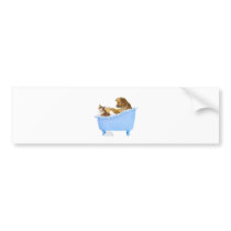 Cat Wash Bumper Stickers