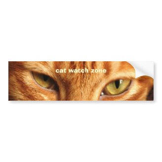 cat watch zone bumper sticker