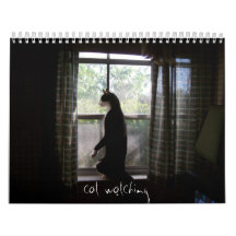 cat watching calendars