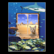 Cat Watching Fish Under the Sea postcards
