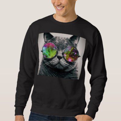 cat wearing aviator sunglasses pull over sweatshirts