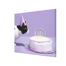 Cat wearing birthday hat blowing out candles on canvas prints