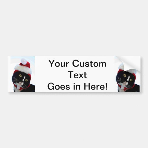Cat wearing santa hat photograph, BW kitty Bumper Sticker