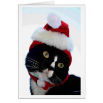 Cat wearing santa hat photograph, BW kitty Card