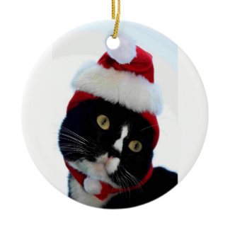 Cat wearing santa hat photograph, BW kitty ornament