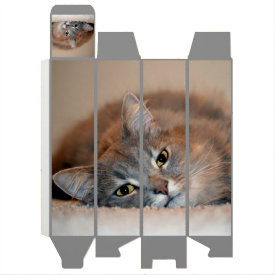 Cat Wine Gift Boxes