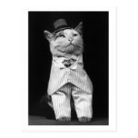 Cat With a Hat, 1906 Postcard