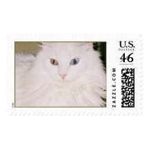 Cat with a stare stamps