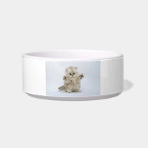 Cat With Attitude Pet Bowl Cat Water Bowls