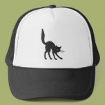Cat With Back Up Hat