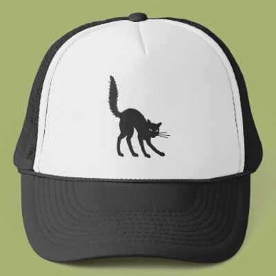 Cat With Back Up Hat Zazzle_hat