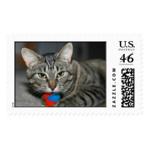 Cat with Ball postage by parnola Cat with Ball postage