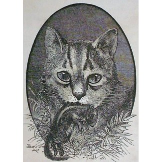 Cat with Chipmunk Victorian Christmas Card zazzle_card