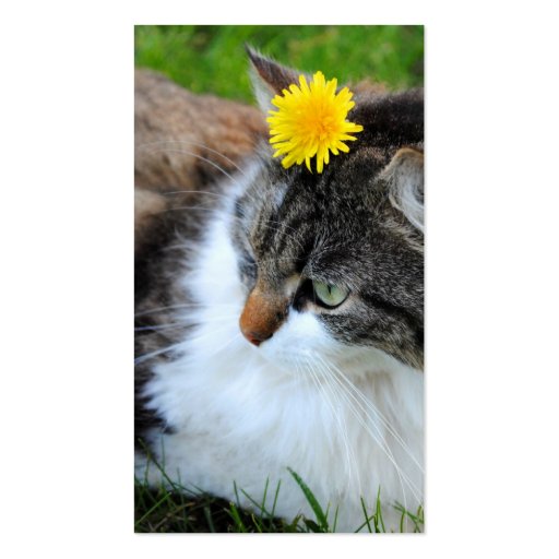 Cat With Dandelion Business Cards