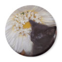 Cat With Flower magnets