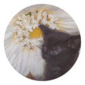 Cat With Flower stickers