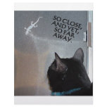 CAT WITH GECKO letterhead