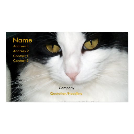 Cat with Golden Eyes Business Card