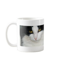 Cat with Golden Eyes mugs