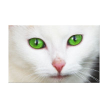 Cat with Green Eyes Gallery Wrap Canvas
