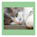 Cat with Green Eyes posters by sexycher Cat with Green Eyes posters