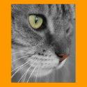 Cat with Green Eyes Poster Print