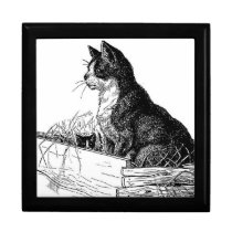 Cat With Kitten  Drawing Jewelry Box