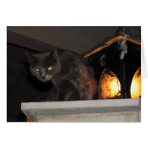 Cat with Lantern Halloween Card cards