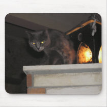 Cat with Lantern Mouse Pad mousepads