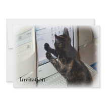 Cat with PC Custom Invite
