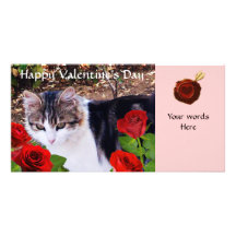 CAT WITH RED ROSES PHOTO CARDS